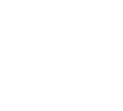smartphone